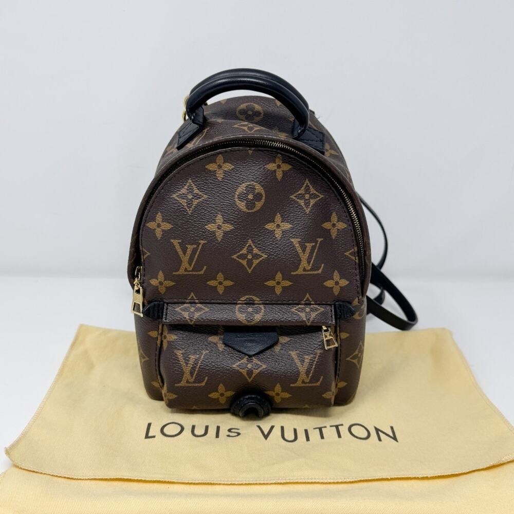 Louis Vuitton Palm Springs Mini Backpack